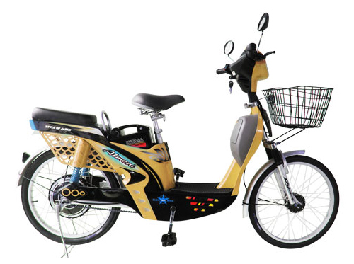 Thay thế acquy xe đạp điện đúng cách Thay thế acquy xe đạp điện đúng cách